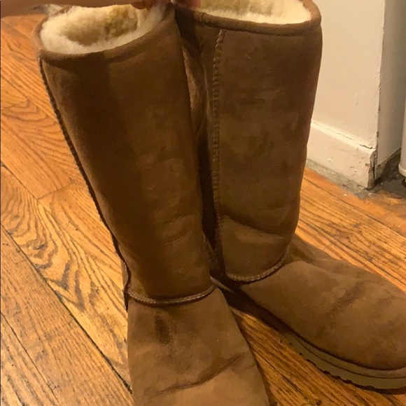 UGG Shoes - Chestnut Tall Uggs